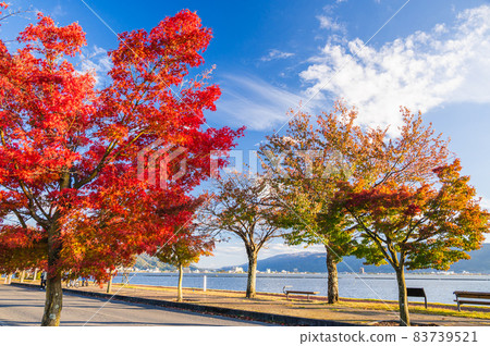 紅葉時期的諏訪湖 83739521
