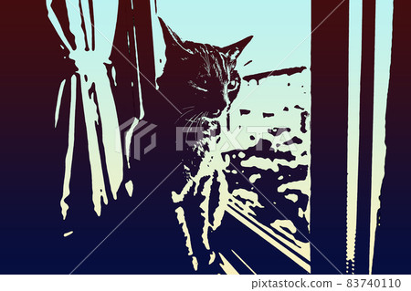 貓貓貓Kijitora白色灰色小貓女女女貓女貓女貓開朗可愛治愈 貓貓貓Kijitora白色灰色小貓女女女貓女貓女貓開朗可愛治愈 83740110