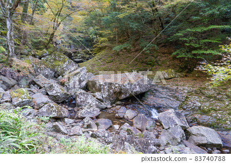 Hachimataiwa (Akame 48 Waterfalls) 83740788
