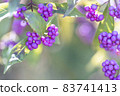 Murasaki Shikibu 83741413