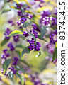 Murasaki Shikibu 83741415