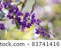 Murasaki Shikibu 83741416