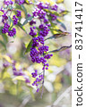 Murasaki Shikibu 83741417
