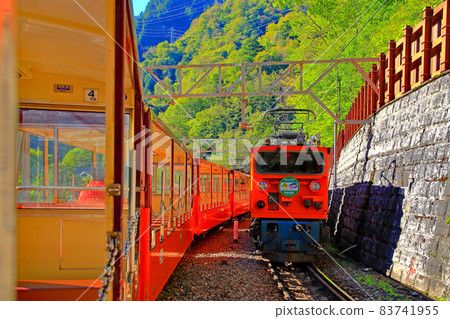 黑部峽谷鐵路無軌電車的風景 83741955