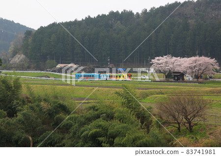 Spring Neo Road Walk ・ 30（岐阜縣本棲市） 83741981