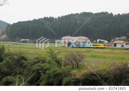 Spring Neo Road Walk 28（岐阜縣本棲市） 83741983