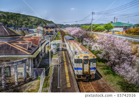 Local line and Sakura (Hitahikosan line) 83742016