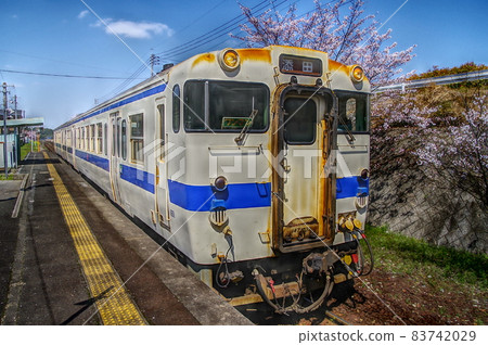 本地線和櫻花(常彥山線) 本地線和櫻花(常彥山線) 83742029