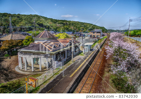 本地線和櫻花(常彥山線) 本地線和櫻花(常彥山線) 83742030