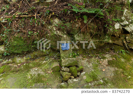 [愛知縣] 寶萊山東照宮 83742270