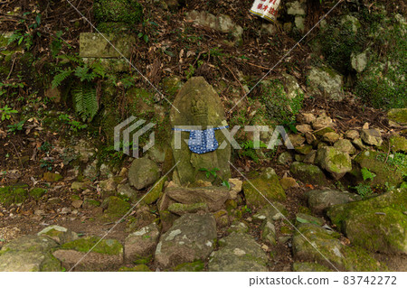 [Aichi Prefecture] Horaisan Toshogu 83742272