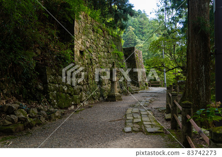 [Aichi Prefecture] Horaisan Toshogu 83742273