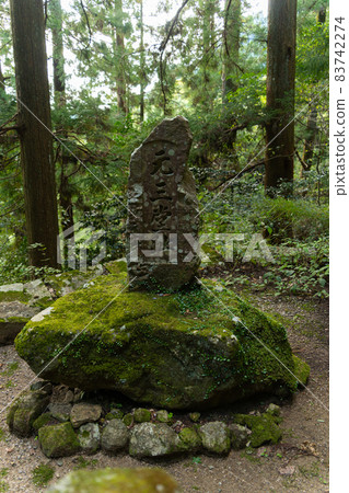 [Aichi Prefecture] Horaisan Toshogu 83742274