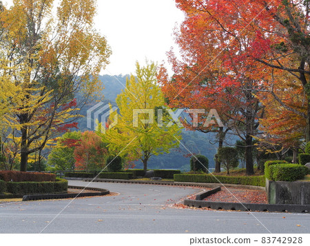 “山口縣久松市米泉湖公園” 秋意漸濃 “山口縣久松市米泉湖公園” 秋意漸濃 83742928