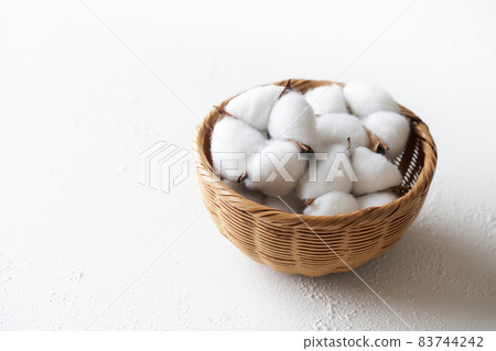 Cotton cotton flower 83744242