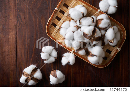 Cotton cotton flower Cotton cotton flower 83744370