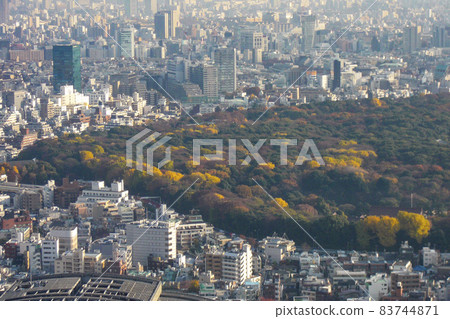 A view of Tokyo from the Tokyo Metropolitan Government Building Observatory Autumn shooting A view of Tokyo from the Tokyo Metropolitan Government Building Observatory Autumn shooting 83744871