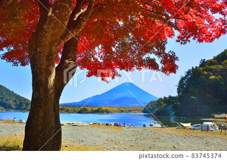 Autumn leaves, Mt. Fuji, Lake Shoji, Tategohama 83745374