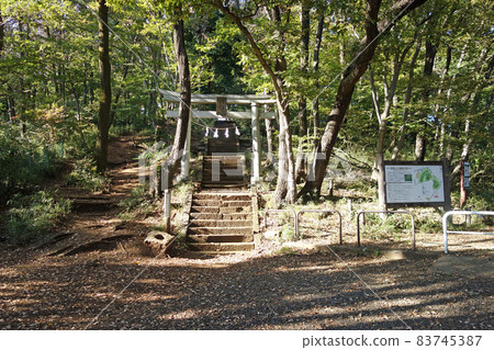 Fuchu City Metropolitan Sengenyama Park (Otokozaka, the approach to Asama Shrine) 83745387