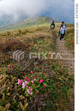 View of hikers and Tairapyo hut on the ridge of Mt. Tairapyo 83745540