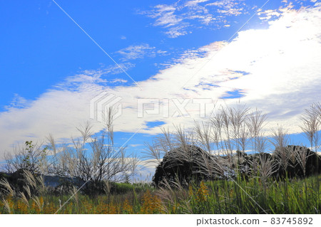 早晨的天空,藍天,雲彩,太陽,草地 早晨的天空,藍天,雲彩,太陽,草地 83745892
