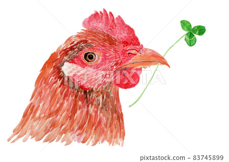 Watercolor illustration of a hen's head holding a clover leaf Watercolor illustration of a hen's head holding a clover leaf 83745899