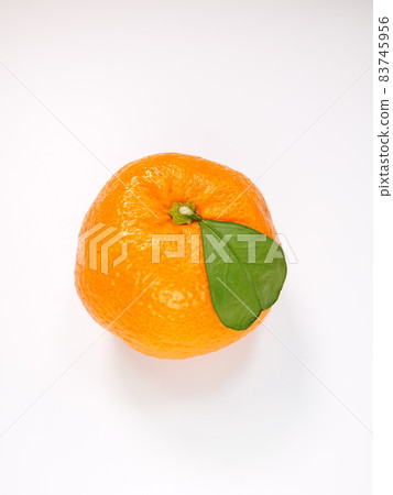 Mandarin orange Mandarin orange 83745956