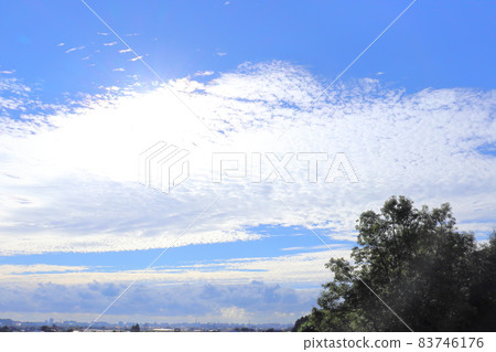 早晨的天空,藍天,雲彩,太陽,樹木,平原 早晨的天空,藍天,雲彩,太陽,樹木,平原 83746176