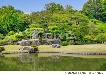 東京六義園 中島桃山 特別名勝 83747027
