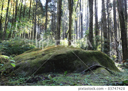 Saigo Takamori Ozishi 83747428