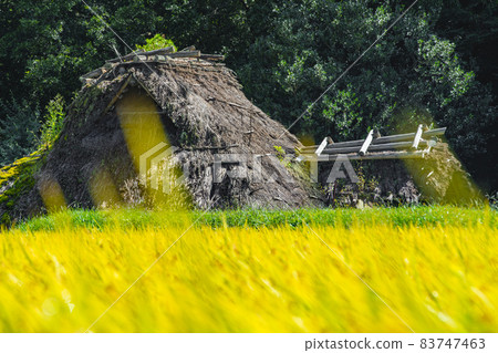Kitada Jomon Park and Inaho in Autumn Kamihisakata, Iida City, Nagano Prefecture Kitada Jomon Park and Inaho in Autumn Kamihisakata, Iida City, Nagano Prefecture 83747463