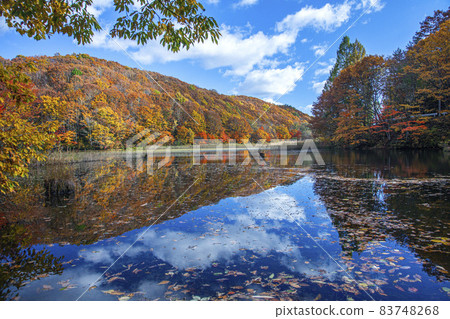 Urabandai Osawanuma of autumn leaves 83748268