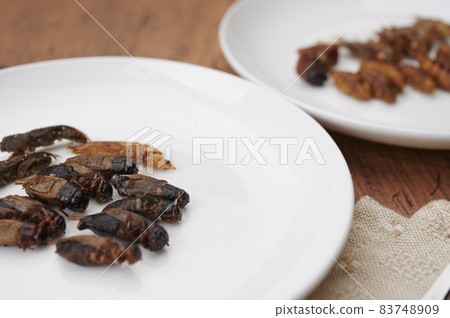 昆蟲食品 昆蟲食品 83748909
