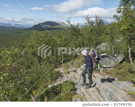 Man backpack hiker at Kungsleden trail admiring nature of Sarek in Sweden Lapland with mountains, rock and birch and spruce tree forest. Summer sunny day, blue sky white clouds. Man backpack hiker at Kungsleden trail admiring nature of Sarek in Sweden Lapland with mountains, rock and birch and spruce tree forest. Summer sunny day, blue sky white clouds. 83749356