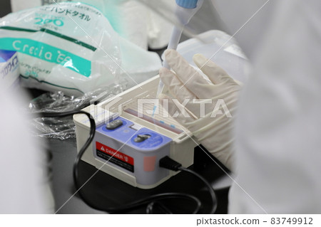 Agarose gel electrophoresis Agarose gel electrophoresis 83749912