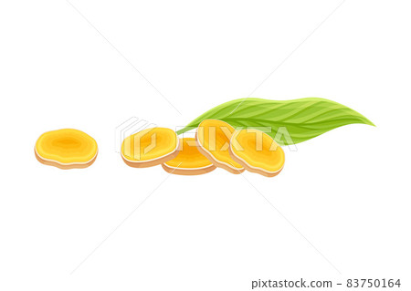 Turmeric or Curcuma Longa Sliced Rhizome Used in Asian Cuisine Closeup Vector Illustration 83750164