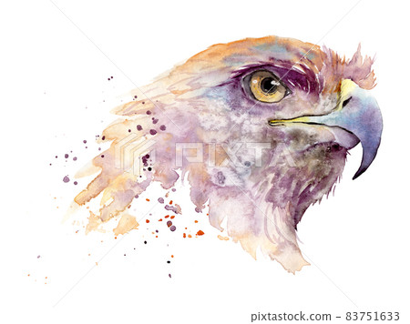 golden eagle drawing