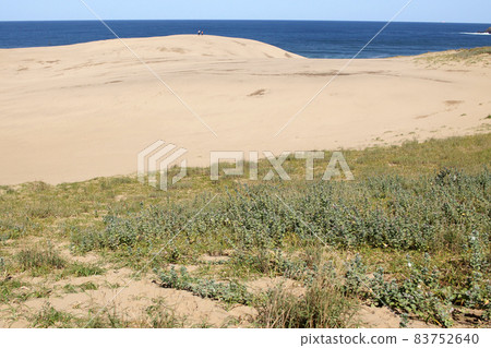 鳥取四季漫步秋日沙丘 83752640
