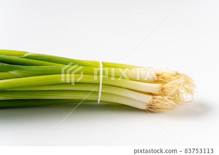 藍洋蔥 83753113