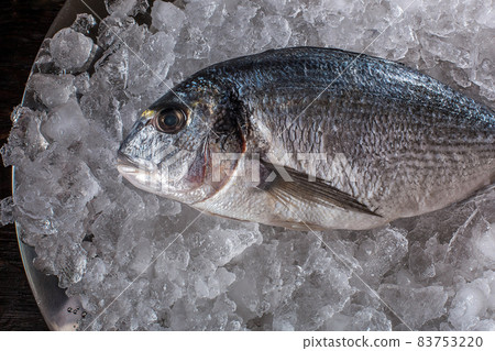 Seafood cooking preparation. Top view of dorado on ice. 83753220
