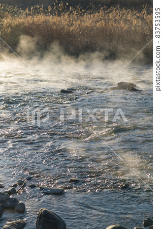 [Steam fog generated in Nakatsugawa in the early morning of January] 83753595