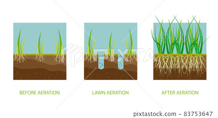 Lawn aeration. Process of aeration before and after, lawn grass care service, gardening and landscape design. 83753647