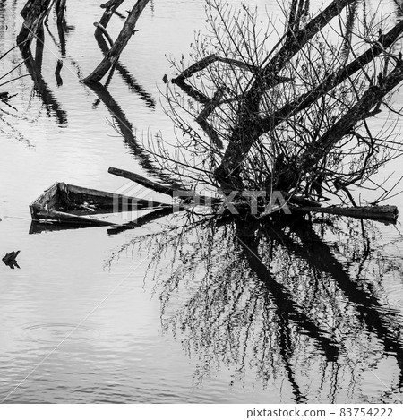 Dry branches and their reflections in blue water Dry branches and their reflections in blue water 83754222