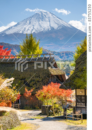 歌舞伎民宅和富士山的秋天《拍攝合作：佐藤西子》 83755250