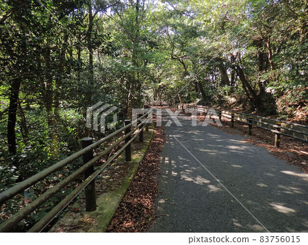 櫻山散步道 83756015