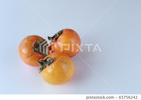 日本柿子 日本柿子 83756242