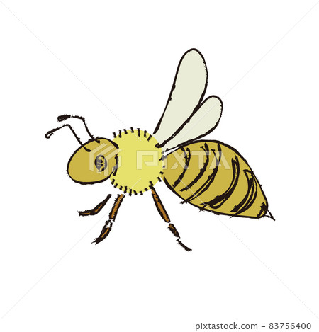 Illustration color of honeybee from the side 83756400