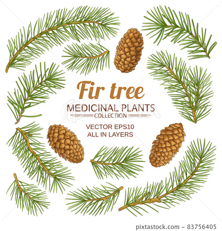 fir tree elements vector set on white background 83756405
