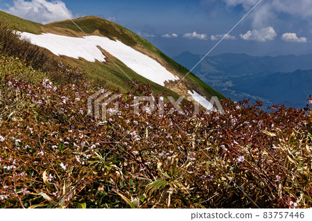 View of Minezakura and Tsuchitaru from Tanigawa mountain range and Sennokurayama 83757446
