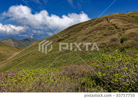 初夏的谷川山/千倉山和Tairapyo山/苗場山的景色 83757750